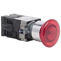 SCHNEIDER XB2BN111 ປຸ່ມກົດສະຫນອງ PUSHBUTTON 22MM XB2B