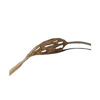 True Phantom Solutions VS-C02 ຫຼັກສູດເລືອດສັດສະພາບ