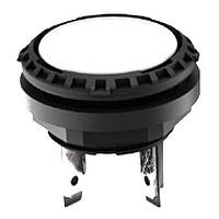 RAFI 1.15.210.920/0000 ປຸ່ມກົດຊົ່ວຄາວ LUMOTAST 16 Ill. ປອດແລ້ວ