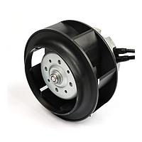 ເພັນແລະເບາວເວີ້