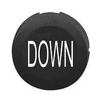 SCHNEIDER ZB6YA228 ຝາປຸ່ມກົດ, ມີສະຫນາມ 16MM PB CAP 65168-024