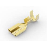 AMP Connectors - TE Connectivity 42692-1 ປຸ່ມຮັບ 18-14 AWG .250 RCPT