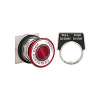 Square D 9001KR9R94 ປຸ່ມກົດສະຫນອງ Pushbutton Switches PSH BTTN 30MM K