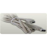 Digilent 310-054 ສາຍ USB A ເປັນ Mini B