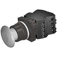 SIEMENS 52BM9W6D ປຸ່ມກົດ PUSHBUTTON,MOM,GRY,1 3/4" PLST,2POS,4BJK