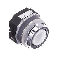 IDEC ALD2300T8 ປຸ່ມກົດສະຫນອງສະແດງແສງພະຍຸ Momentary TWND