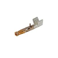 Molex 172063-1311 ຕິດຕໍ່ MegaFit ຜູ້ຍິງ Crimp 1416AWG ມົນຂອງ 425