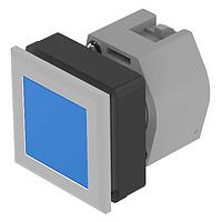 EAO 704.210.608 ຕົວຊີ້ວັດຕົວຕິດຕູ້ Panel / ຕົວຊີ້ວັດສະຫນອງສະຫນອງ Switch Pushbutton-actuator ສີເງິນ/ນ້ຳເງິນ 35x35 mom