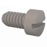 Essentra Components 010256F015 ກຸມສະກຣູວຽກເຄື່ອງຈັກ Fillister Slotted Screw, #2-56 Thread, 5/32 Lg