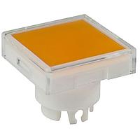 NKK Switches AT3004JD ຝາ, ສີ່ແຫ່ງ SQ CLR LNS/AMBR DIFF ສໍາລັບ YB ມີ LED ສີແມບເບີ