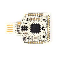 Crowd Supply CS-TAH-01 ເຄື່ອງມືພັດທະນາ