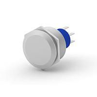 P&B 3-2317656-8 ປຸ່ມກົດສະຫນອງ AV25 DPL 3A ແຫຼງກົດເຄື່ອນໄຫວ ແມ່ນສີຂຽວ 24V