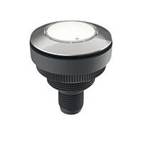 RAFI 1.11.071.201/0220 ປຸ່ມກົດສະຫນອງ RAMO 30 I Flexlab