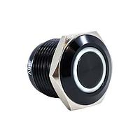 E-Switch PV6F24011G-301 Anti-Vandal ANTI-VANDAL, 2A 48VDC, SPST Off-(On), ຕິດຕັ້ງບ່ອນກະແຈ, ການບົດຮອບດ້ານໜ້າ