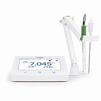 HANNA HI6221-02 ການຄົ້ນຄວ້າເກຣດ pH/ORP Meter ດ້ວຍ CAL Check™ (-2.000 ~ 20.000 pH, ±2000 mV)