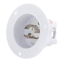 Molex 1301490014 ປລັກຟແລນຈ໌ອິນເລັດ ບໍ່ແມ່ນ NEMA