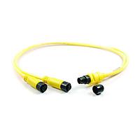 Amphenol SINE Systems P29333 ເສັ້ນສາຍເຊນເຊີ / ເສັ້ນສາຍອັກຕູເວດເອັດ M12 SPLITTER 4POS 300 V