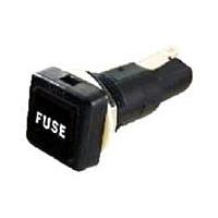 Shin Chin R3-21A-B ຕົວຢືດຟິວ 10A/250VAC