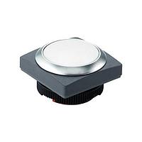 RAFI 1.30.270.081/2600 ສະຫນັບສະຫນູນ Switch Actuators RAFIX PshBtn Illum Blue / Blau