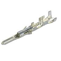 Molex 172765-1121 ຕິດຕໍ່ 16AWG MAL TERM ທອງ PP Sn 1.98-2.55MM