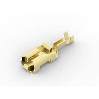 AMP Connectors - TE Connectivity 927852-1 ການເຊື່ອມຕໍ່ດ່ວນ TAB RECEPT ມົນ 1500