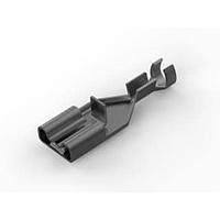 AMP Connectors - TE Connectivity 170333-1 ຮັບກະປ່ອງ 250 POSITIVE LOCK MK-2 REC LP