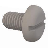 Essentra Components 50M100150N016 ພັນສລອດເດດ Pan Slotted Screw, M10 X 1.5 Thread, 16mm Lg