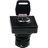 RAFI 1.30.096.151/0000 ສະວິດຊ໌ Actuators RAFIX 16 F Keylock Switch 90