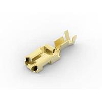 AMP Connectors - TE Connectivity 927854-1 ປຸ່ມສະຫນອງ POS-LOCK STECKH 6,3