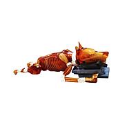 True Phantom Solutions DG-A02 ເຫຼັ້ມຫມາສຳລັບ X-Ray CT, MRI