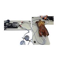 True Phantom Solutions TO-A05 ຮ່າງກາຍຜູ້ໃຫຍ່ (ການເຄື່ອນໄຫວ) ສໍາລັບ X-Ray CT, MRI