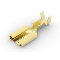 AMP Connectors - TE Connectivity 735209-1 ປະຕູຮັບ FASTON RECEP 6 35