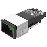 EAO 02-198.011 ສະວິດຊ໌ອັກຕູເວດເຣີສ Keylock switch 2 positions A actuated or non-actuated SA 2DC screw 24x36 silver YB1