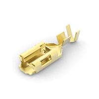 AMP Connectors - TE Connectivity 170454-1 ຮອບຮອງ 250POSITIVE LOCK REC