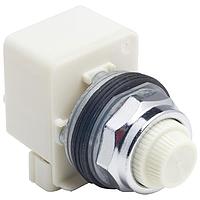 Square D 9001KP38LWW31 ໄຟສະແດງ Pilot Light PILOTLIGHT 120V 30MM TYPE K