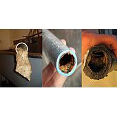 More economical when treating waste with ultrasonic tank