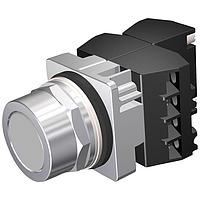 SIEMENS 52PM8A6C ປຸ່ມກົດປະຕິບັດງານລົງ Flush,PUSHBUTTON,MOM,GRY,FLUSH,2POS,3NO-3NC