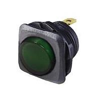 Shin Chin R13-135B-02-BGG-N1 ສະຫນັບສະຫນູນ Rocker Switches SW RKR SPST ILUM GRN