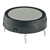NKK Switches JF15CP2H ສະຫນອງສະຫນອງສະຫນອງສະຫນອງສະຫນອງ SPST RND/RND ສີເທົາ