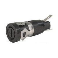 Schurter 0031.1165 ຕົວຢືດຟິວ FEF SLOTTED