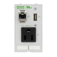 Murrelektronik 4000-68000-4030000 ເມື່ອງ Ethernet I/O MODLINK MSDD SINGLE COMBI INSERT USA NEMA 5-15, 1xUSB-A ຍິງ/ຍິງ + 1xRJ45 ຍິງ/ຍິງ