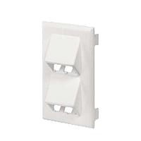 Panduit PE2VFD1096 ຕູ້ວາງແລະຕູ້ວາງ Racks & Rack Cabinets PE2V Cable Manager - 10" Wide - Single S