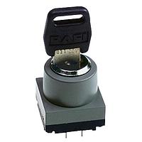 RAFI 3.13.026.011/0000 ສະຫນັບສະຫນູນ Keylock MICROMEC Keylock switch IP54 2x90