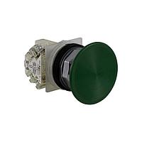 Square D 9001KR5GH13 ປຸ່ມກົດສະຫນອງ PSH BTTN 600VAC 10A 30MM, ປະເພດ K