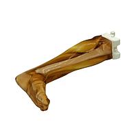 True Phantom Solutions LG-A02 ຂາຜູ້ໃຫຍ່ (ກາງເພດ) ສໍາລັບ X-Ray CT, US, MRI