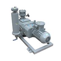 Hokaido RSP550 ປັ໊ມສູນຍາກາດສະກູແຫ້ງ (550 m³/h, 15kW, 4Pa)