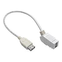 Tripp Lite U060-001-KPA-WH USB 2.0 1FT WH USB2.0A ປຸ່ມຄວບຄຸມແຜງ CPLR