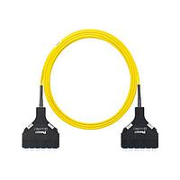 Panduit F9TSPXNXNSNF040 ການປະກອບສາຍເສັ້ນແສງ Fiber Optic OS2 12f Trunk OFNP LC Cass/LC Cass Std P