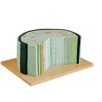 PHYWE MOD-DICOT ຮູບແບບໂຄງສ້າງຂອງລໍາຕົ້ນ Dicot (34 x 28 x 18 cm)