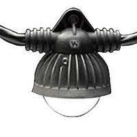 Molex 130111-0112 ໄຟສະຫນອງ LED LED STRINGLIGHT 14W 25FT 2SK